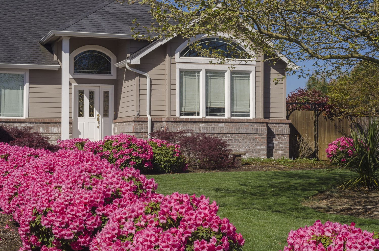 Fairview Property Management